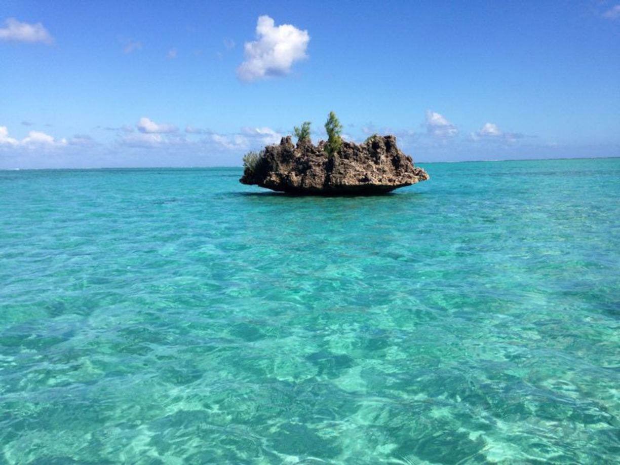 Fully Loaded Mauritius