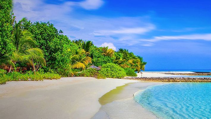 Andaman With Friends